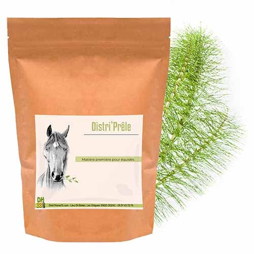 Prêle cheval – Plante riche en silice pour articulations et tendons - 