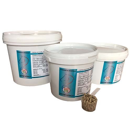 Complément vitamines chevaux - Distri’Vitaca – Minéraux, Vitalité et Performance - 