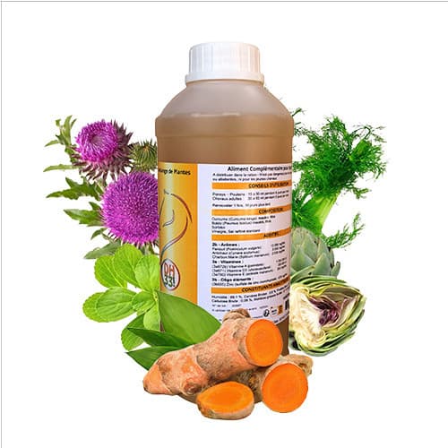 Drainage foie cheval : Distri’Epatik naturel pour foie et reins - 1 L