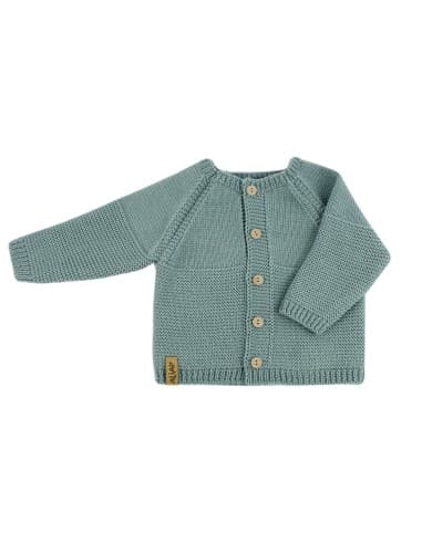 Gilet droit en Laine de Mérinos Vert 3 mois Vert