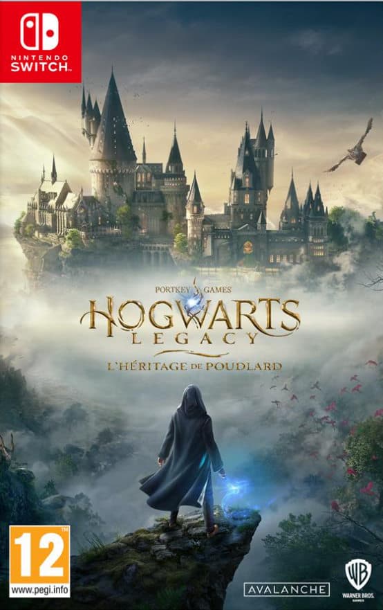 Hogwarts Legacy : L'Heritage de Poudlard Switch Excellent etat Occasion