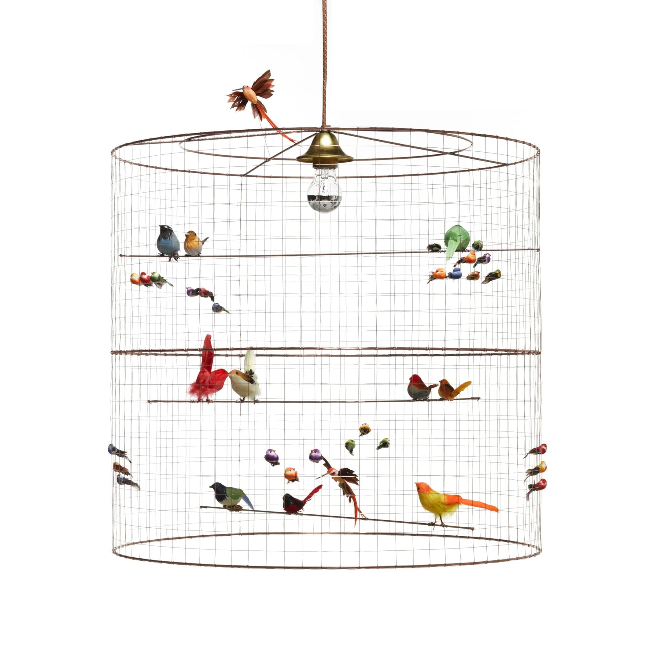 MATHIEU CHALLIERES-SUSPENSION-Grande Volière