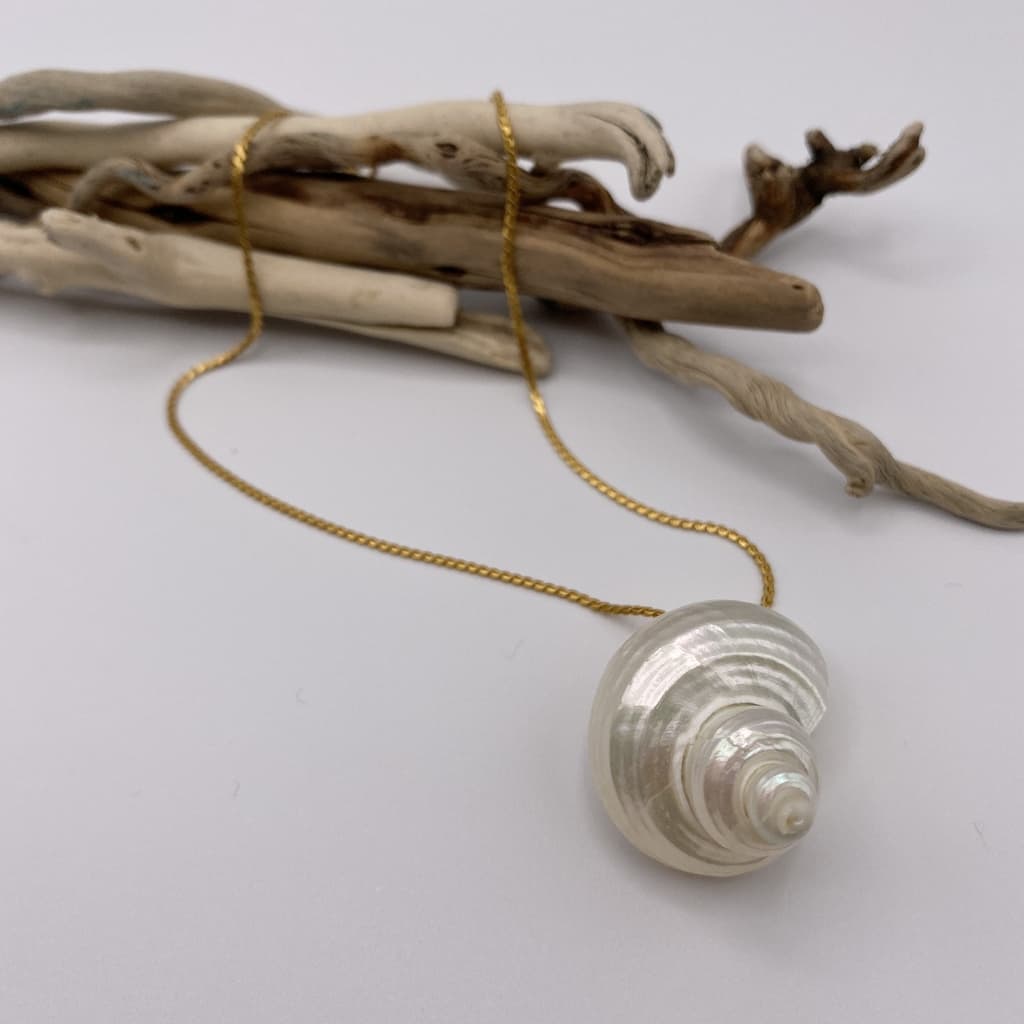 Pendentif Escargot de mer nacré avec chaîne - Fine