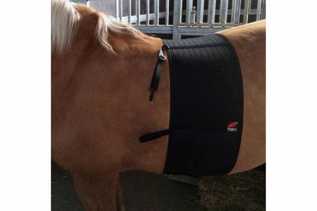 BANDE DE RESPECT SUPERIOR ZANDONA