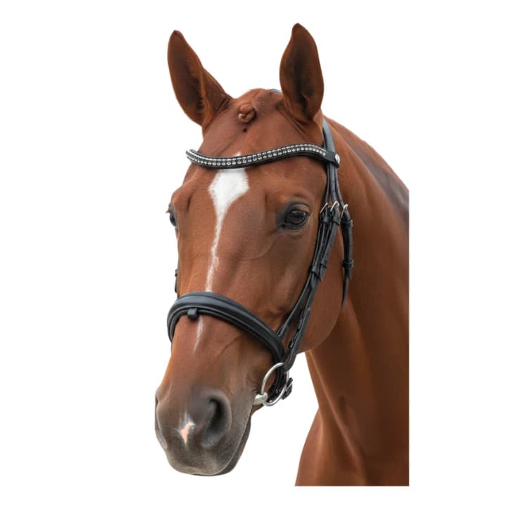BRIDON DRESSAGE CANTER TOTILAS