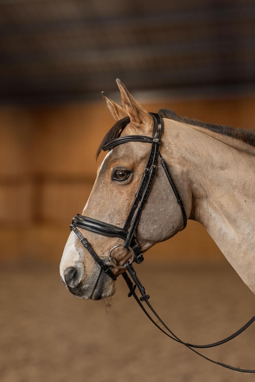 BRIDON PRO LINE "VERONA"