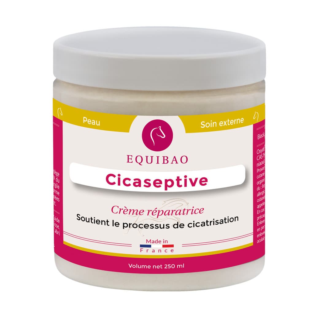 CICASEPTIVE