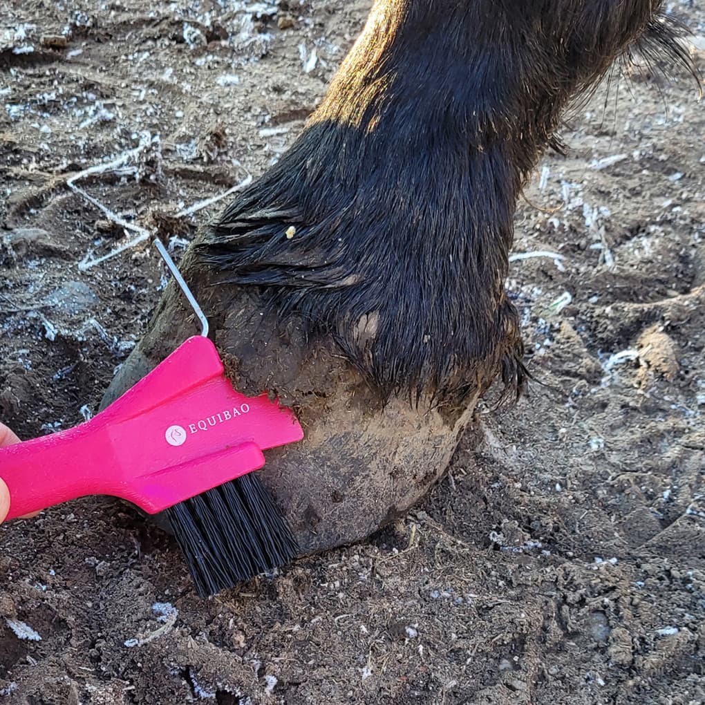 CURE-PIED PINK COMBO EQUIBAO