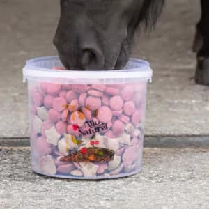 FRIANDISES ALLO NATUREL