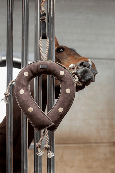 JOUET POUR CHEVAUX - FER A CHEVAL