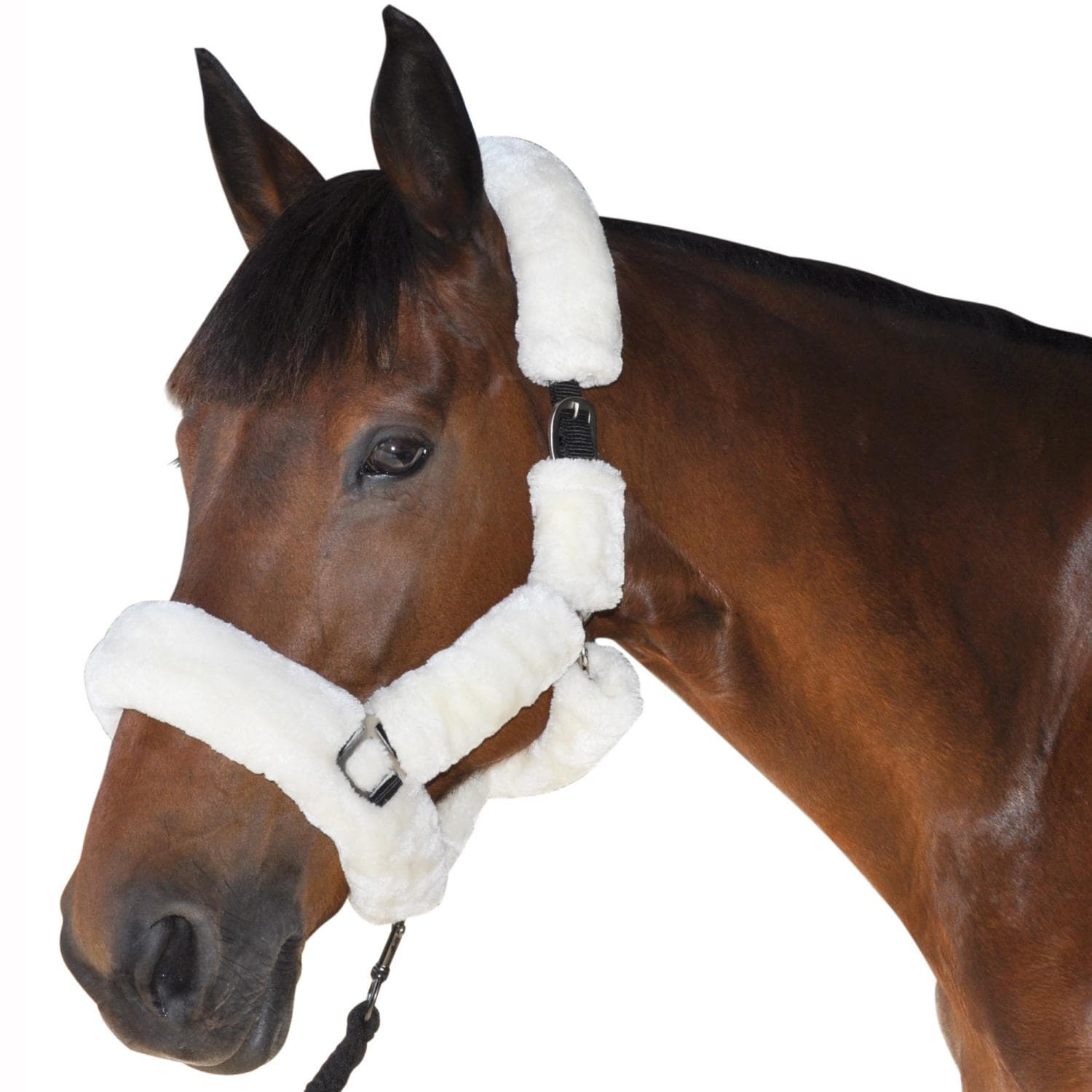 LICOL DE TRANSPORT by Flags&Cup