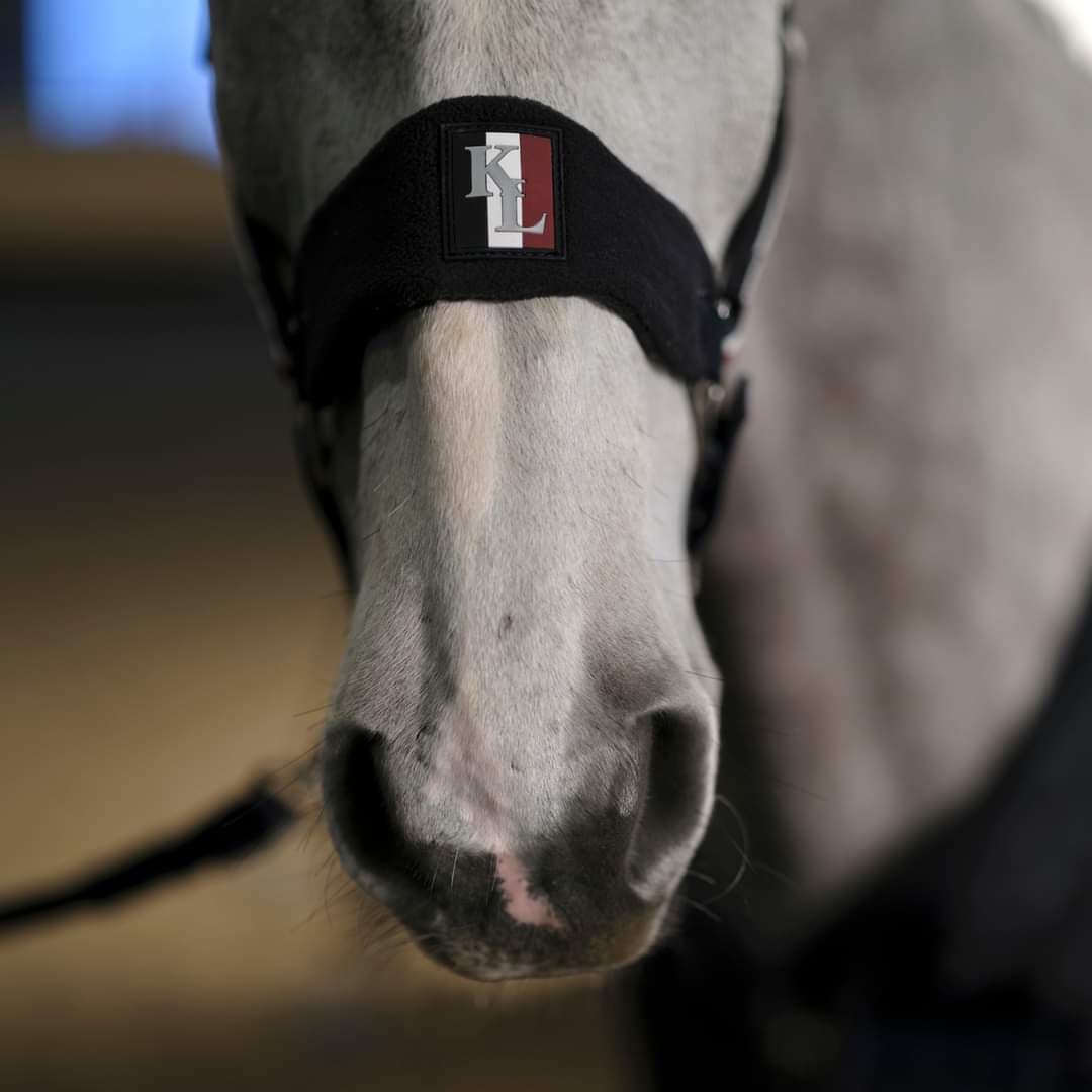 LICOL CLASSIC KINGSLAND