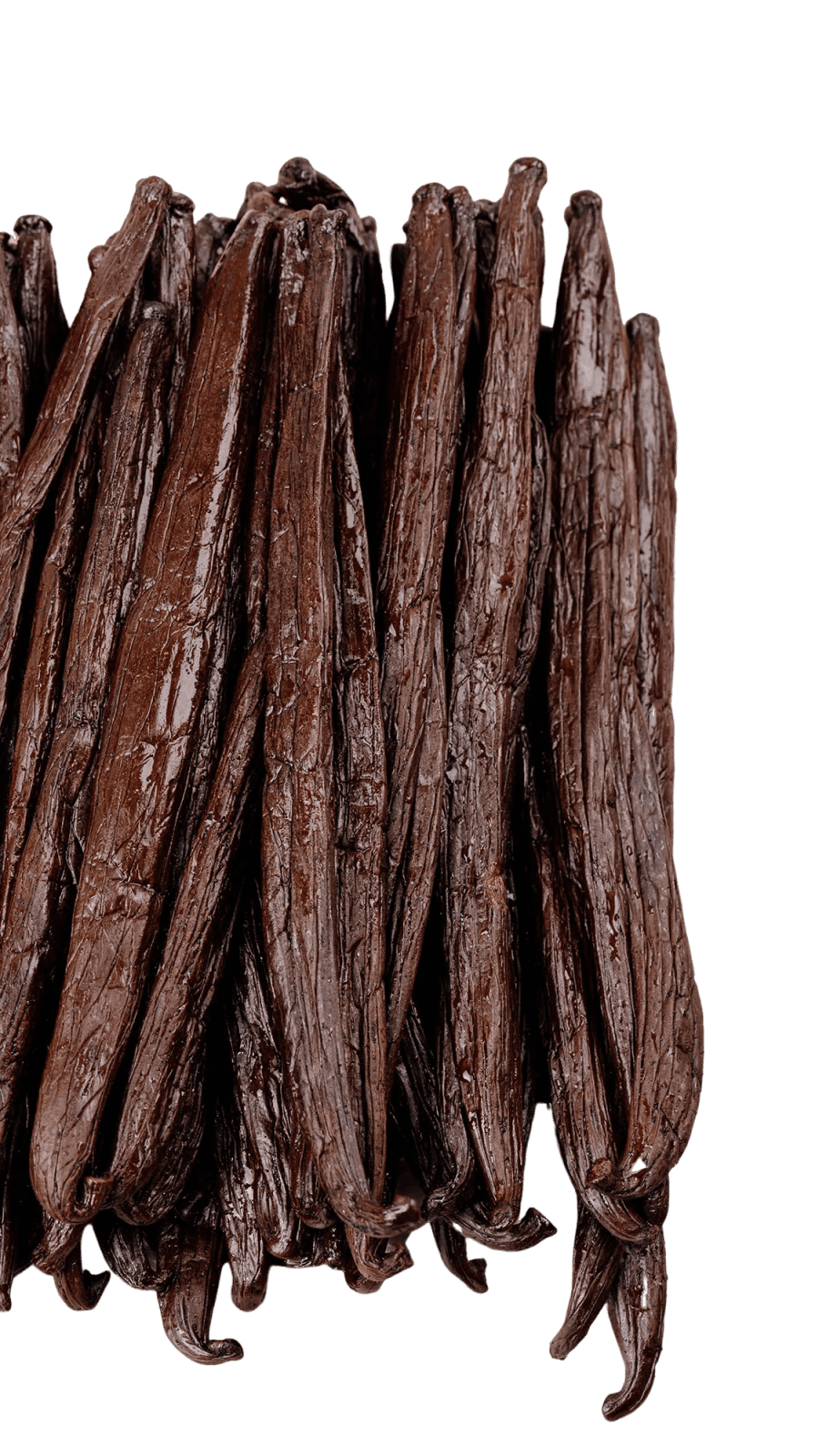 Gousses de vanille Planifolia Ouganda : Poids - 1 kg