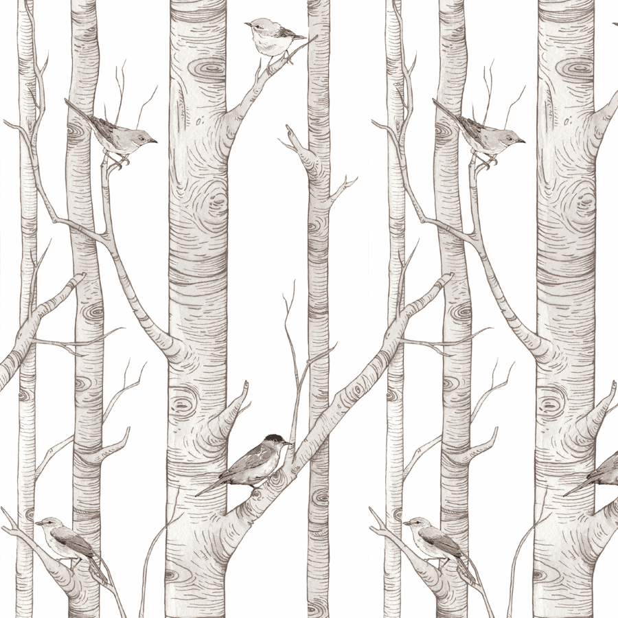 Echantillon papier peint - forêt de bouleaux