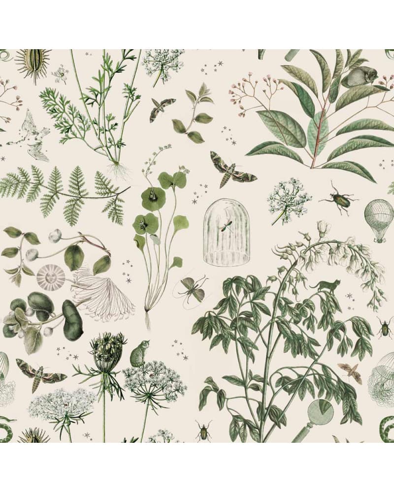 Echantillon papier peint enfant Jardin botanique