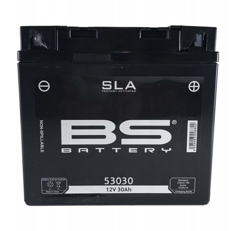 Batterie BS Gel 12V30A