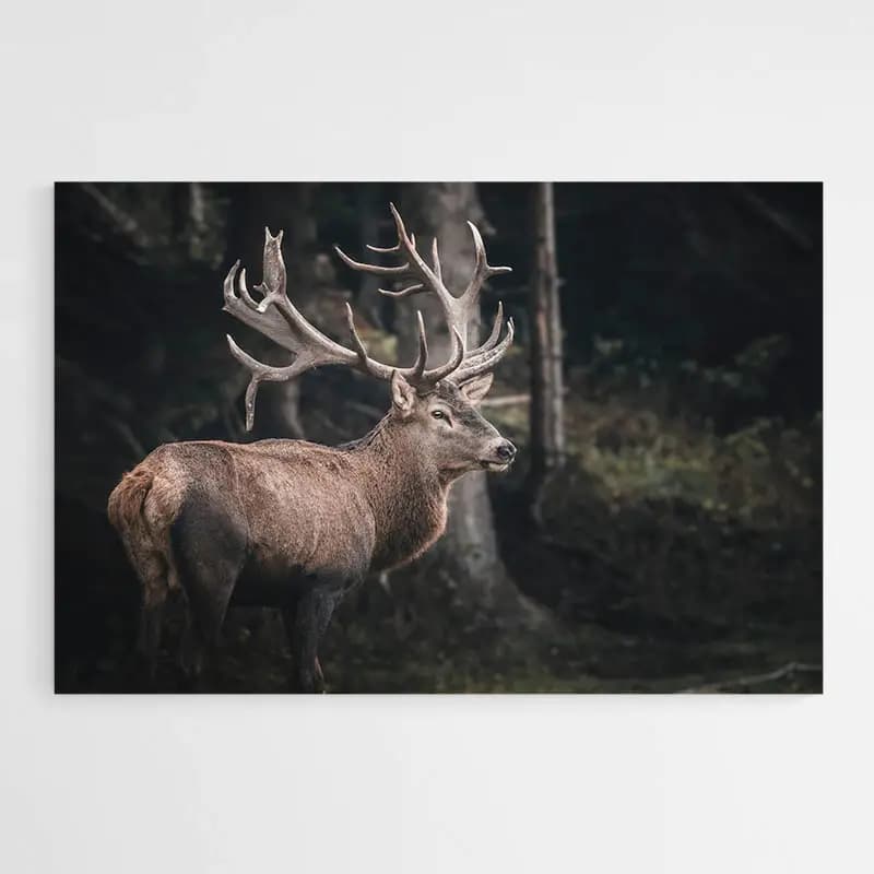 Grand Tableau Cerf Tableau monté sur châssis 60x90