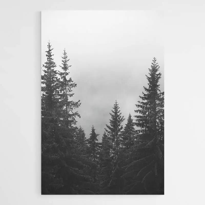 Tableau Scandinave Nordique Tableau avec cadre flottant 20x30