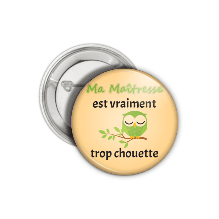 Badge ou magnet ou porte-clé chouette maître/maîtresse/nounou