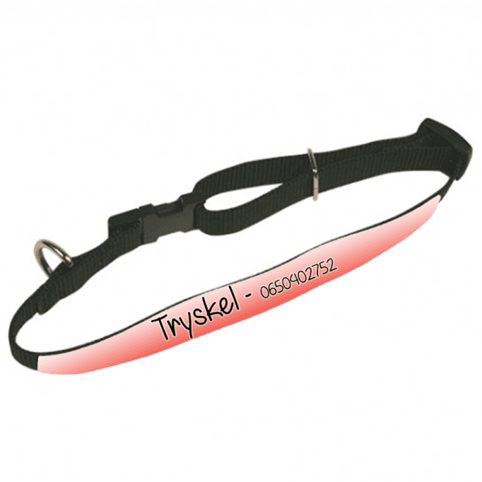 Collier animal personnalisable modèle dégradé rouge