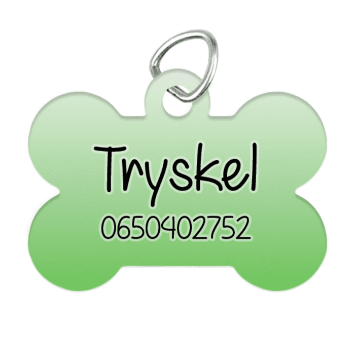 Pendentif animal os personnalisable modèle dégradé vert