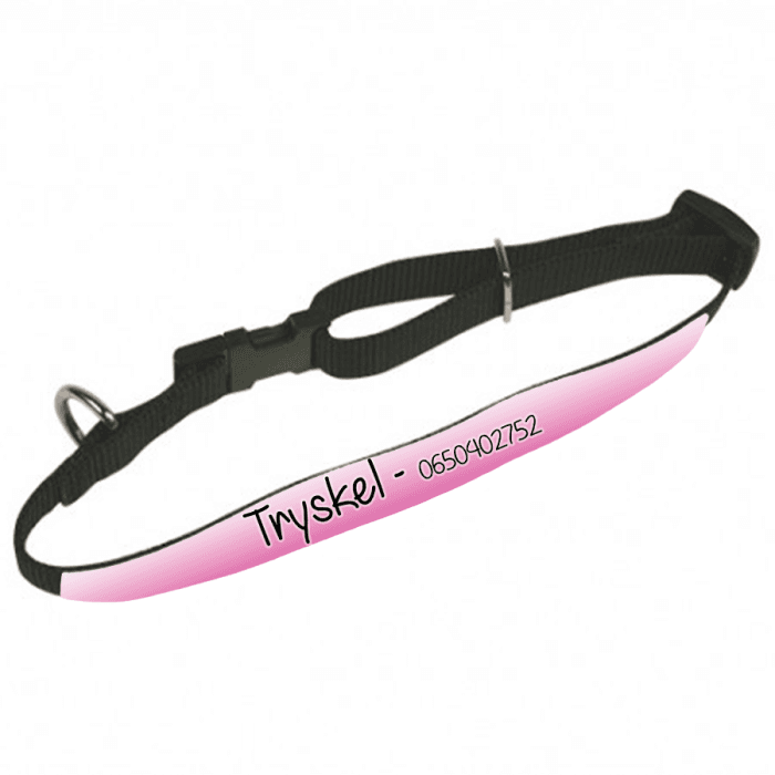 Collier animal personnalisable modèle dégradé rose