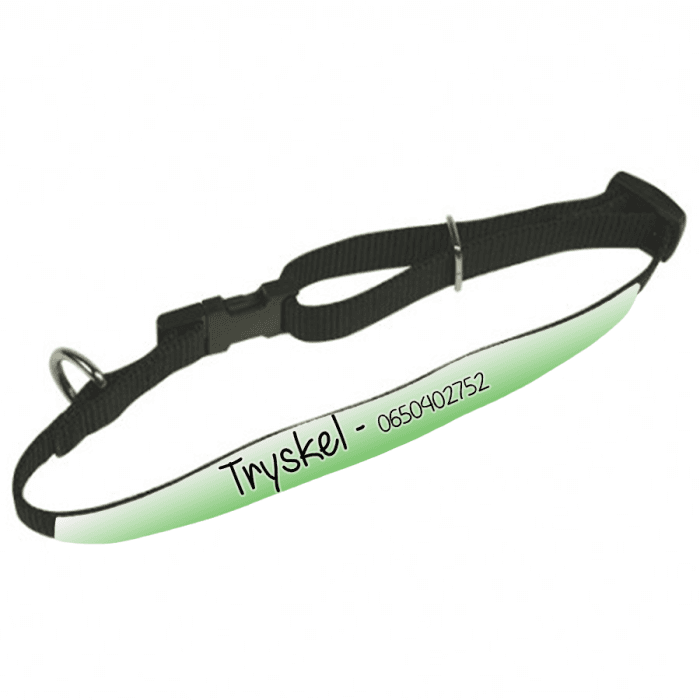 Collier animal personnalisable modèle dégradé vert