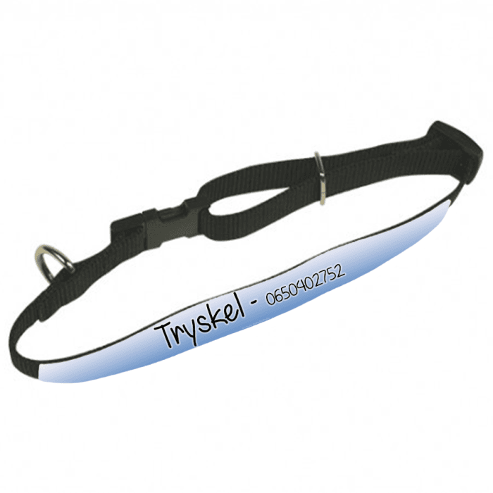 Collier animal personnalisable modèle dégradé bleu