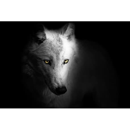 Drapeau Viking Fenrir - 150 x 230 cm