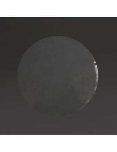 Disques à steaks 100mm (lot de 5000)