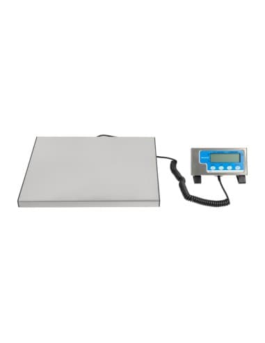 Balance Salter 60kg