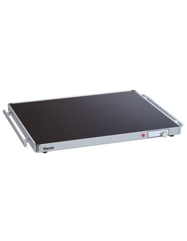 Plaque chauffante WP300 2/1