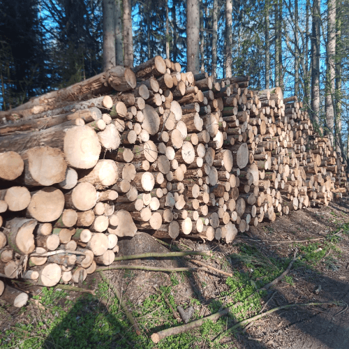Stammholz – Nadelholz - Ganze LKW-Ladung - 15-55 cm