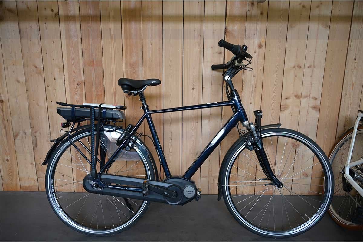 Batavus Wayz E-go® Aktiv NEXUS 8