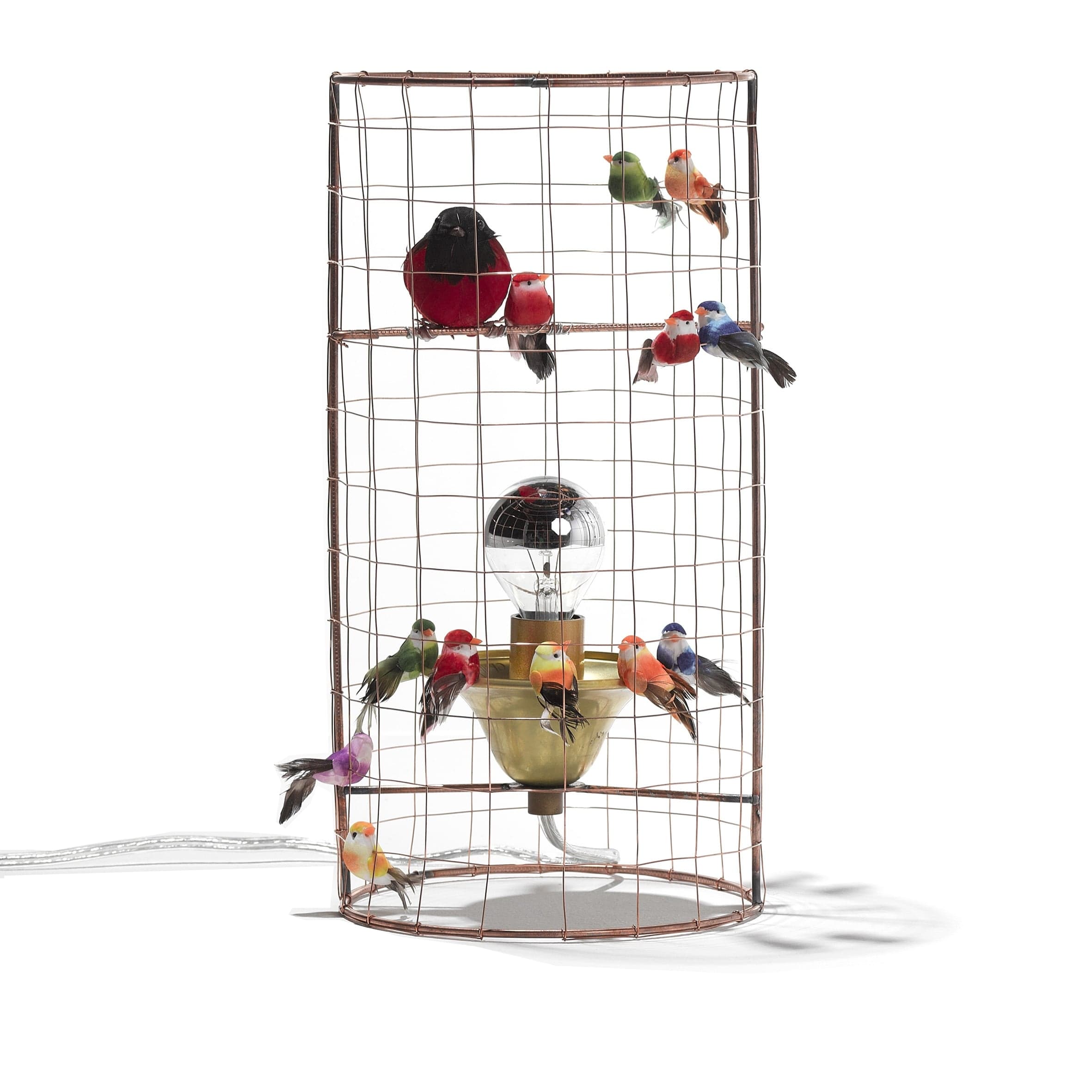 MATHIEU CHALLIERES-LAMPE A POSER-Volière