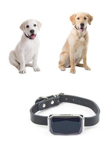 Traceur GPS et micro GSM pour animaux - Localisation et Ecoute à Distance