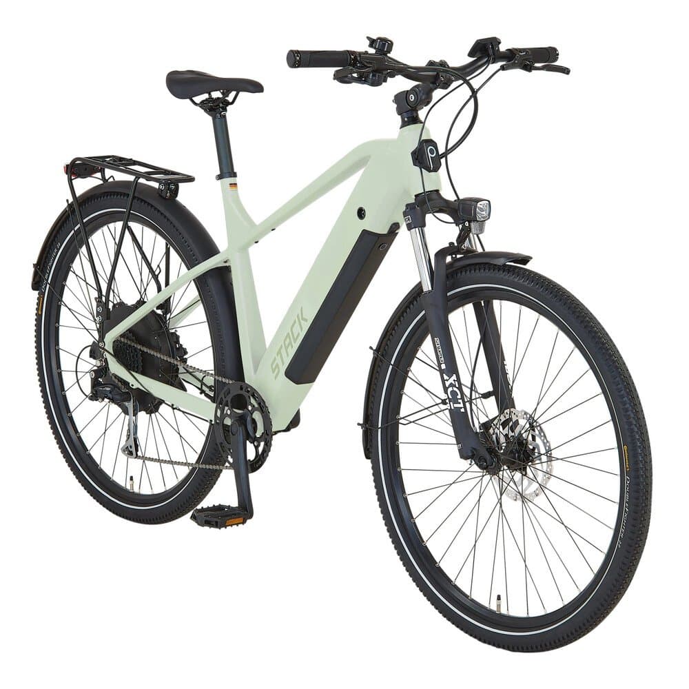 Prophete E-Bike ATB Stack 2.9 Herren Salbeigrün Matt 29 Zoll