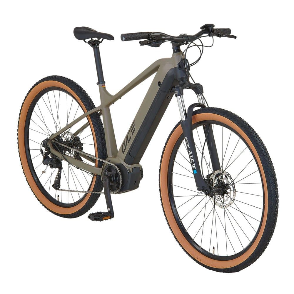 Prophete E-Bike MTB Dice 3.0 Grau-Schwarz Matt 29"