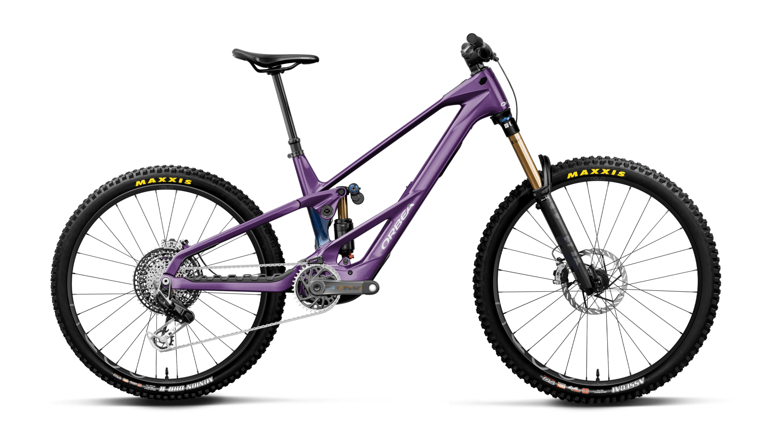 Orbea WILD LT M-LTD RS MULLET Royal Plum-Noctiluca C.View (Gloss)