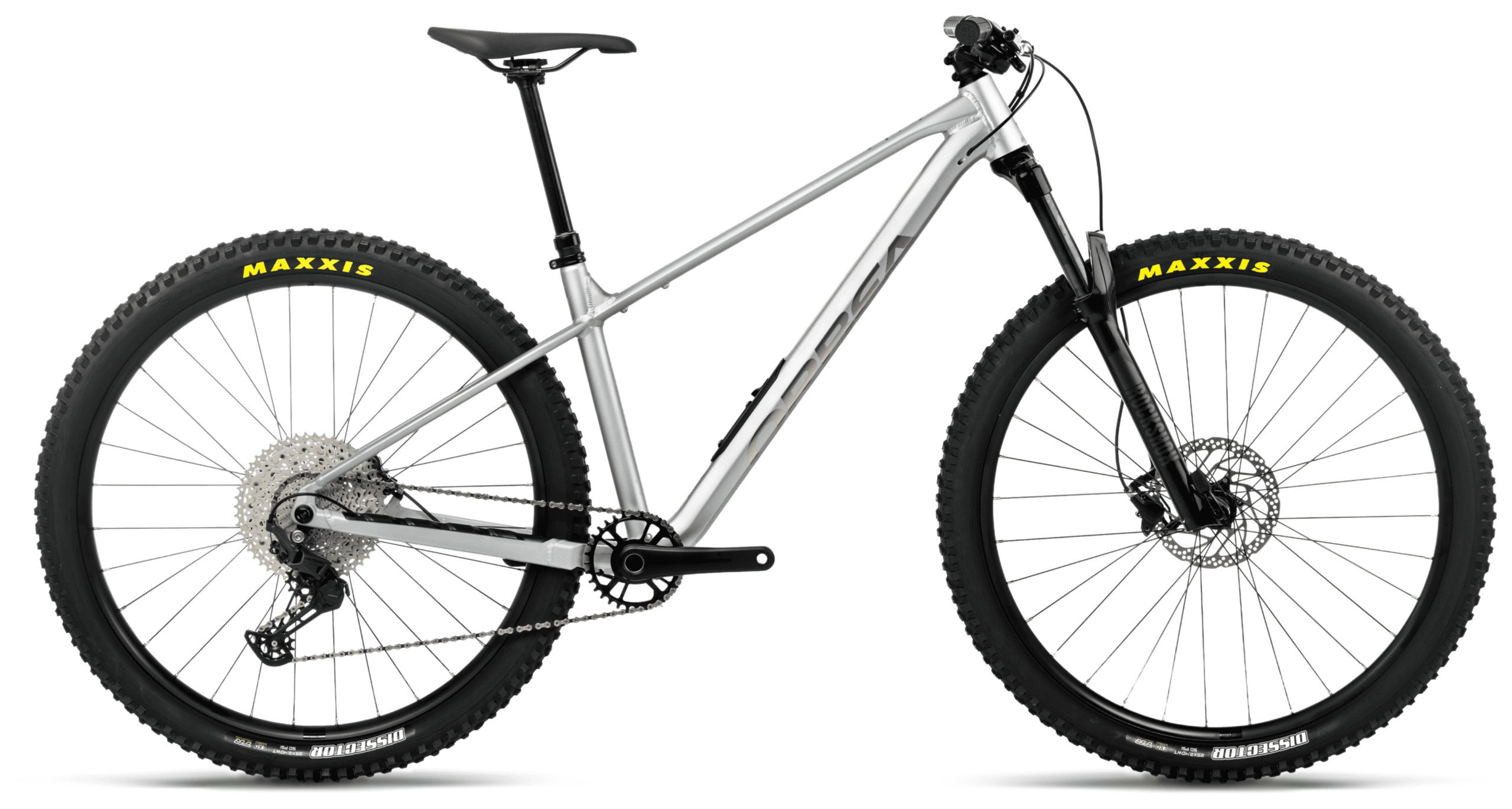 Orbea LAUFEY H30 Smooth Silver (Mat) - Titanium (Glans)