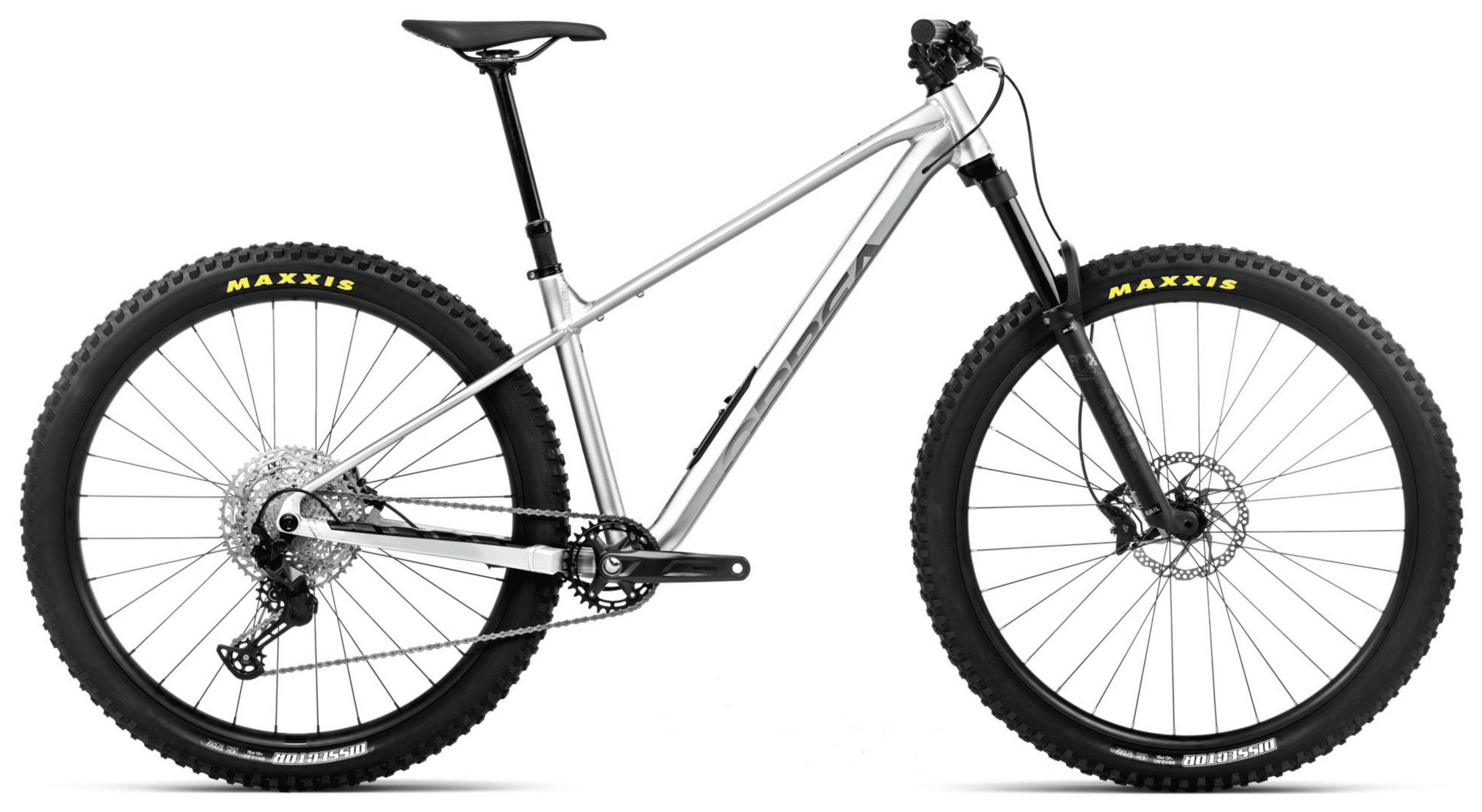 Orbea LAUFEY H10 Smooth Zilver (Mat) - Titanium (Glans)