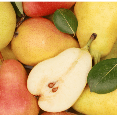 SORBET POIRE - FABRICATION ARTISANALE