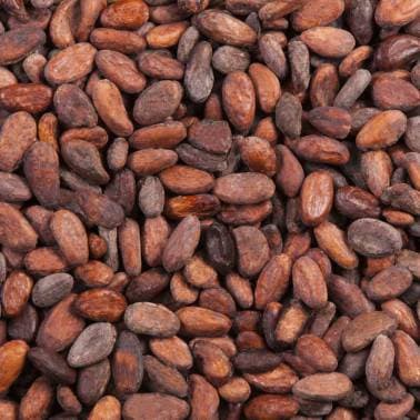 FÈVES CRUES DE CACAO GRAND CRU DU VIETNAM