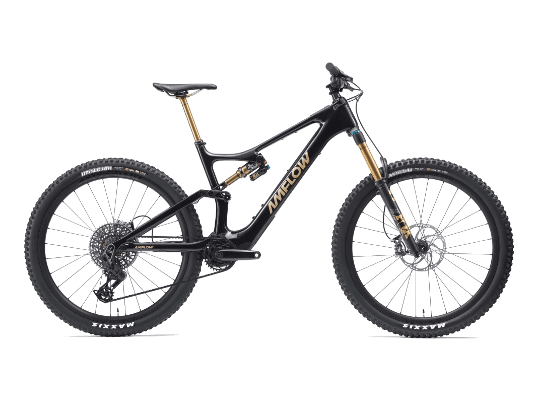 BICICLETA ELÉCTRICA DE MONTAÑA Amflow PL Carbon pro 2025 - Standard