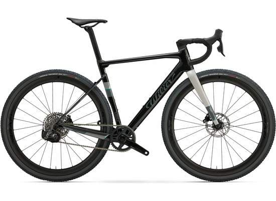 Bicicleta Wilier Rave SL Shimano GRX 2x12 - L