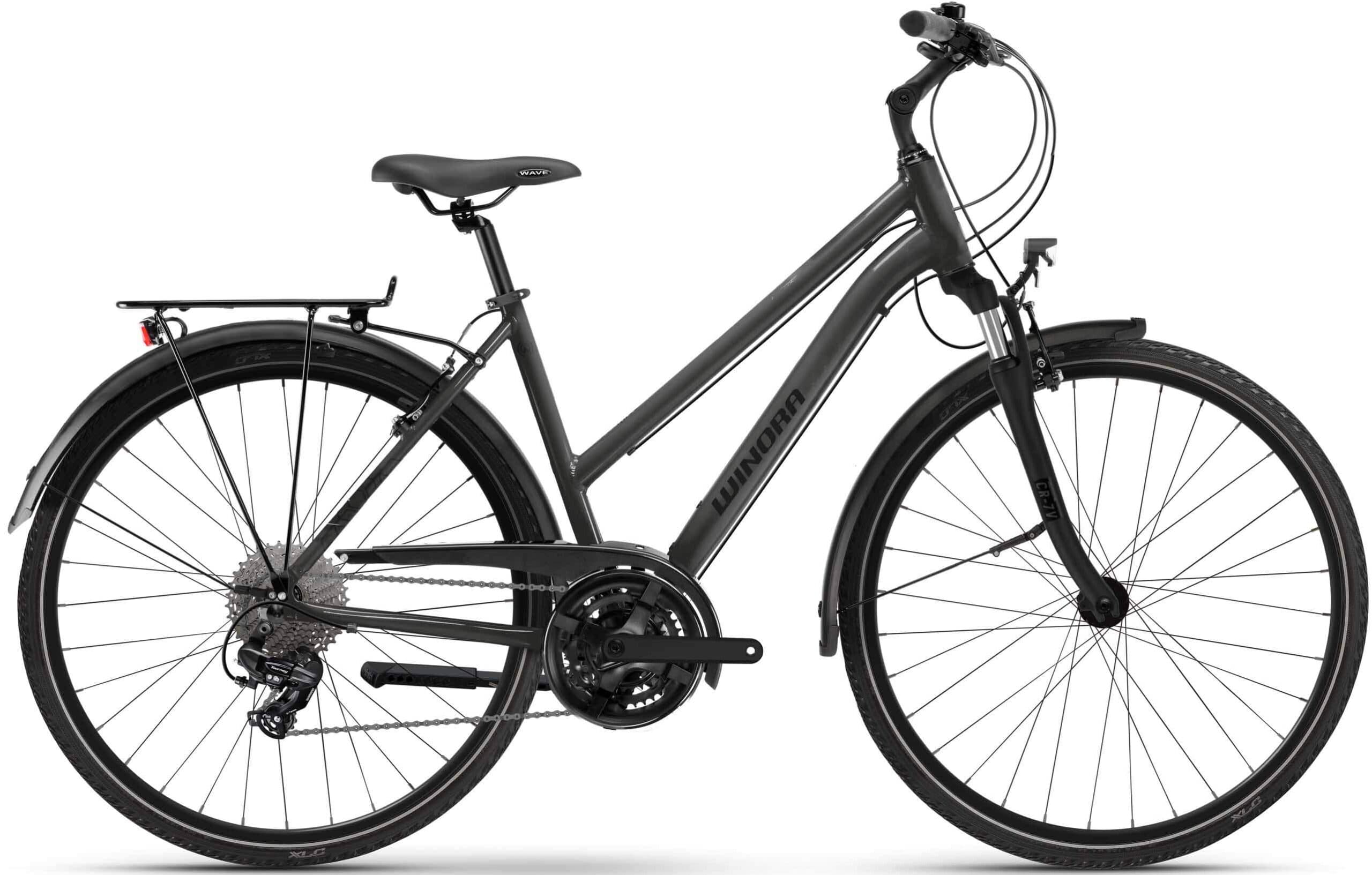 Bicicleta Winora Domingo X21 MID 2026 - L