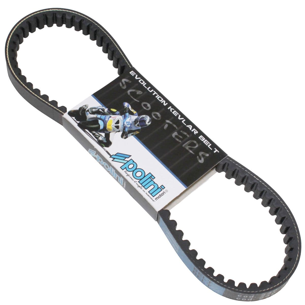 Polini - Courroie Piaggio Nrg Typhoon À Partir De 2000 - Polini Evolution