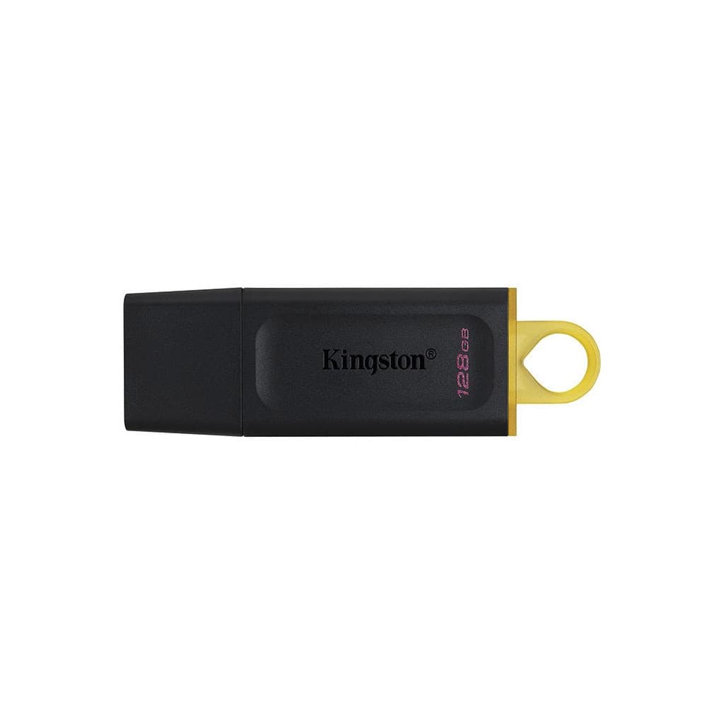 Clé 128Go USB 3.2 DataTraveler DTX - 128GB - DTX128GB | Kingston