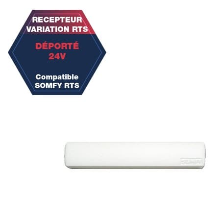 Récepteur déporté - Somfy RTS 24V pour Variation - Somfy