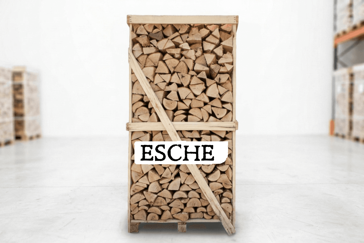 Brennholz Palette – Esche – 25 cm – kammergetrocknet – 2 RM